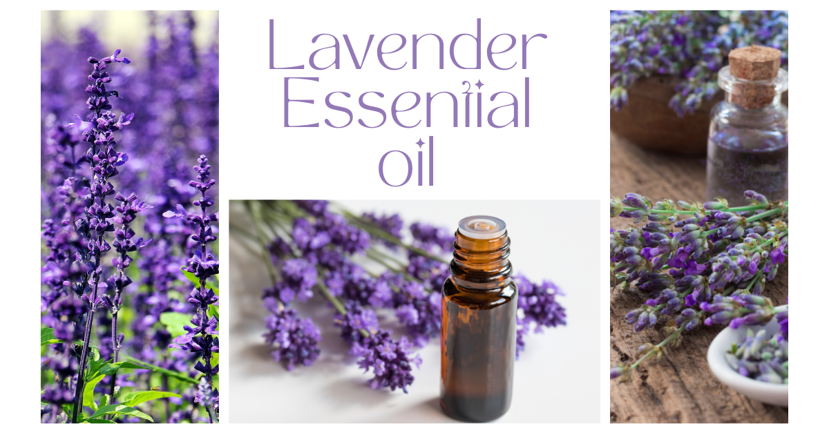 Lavender essential oil