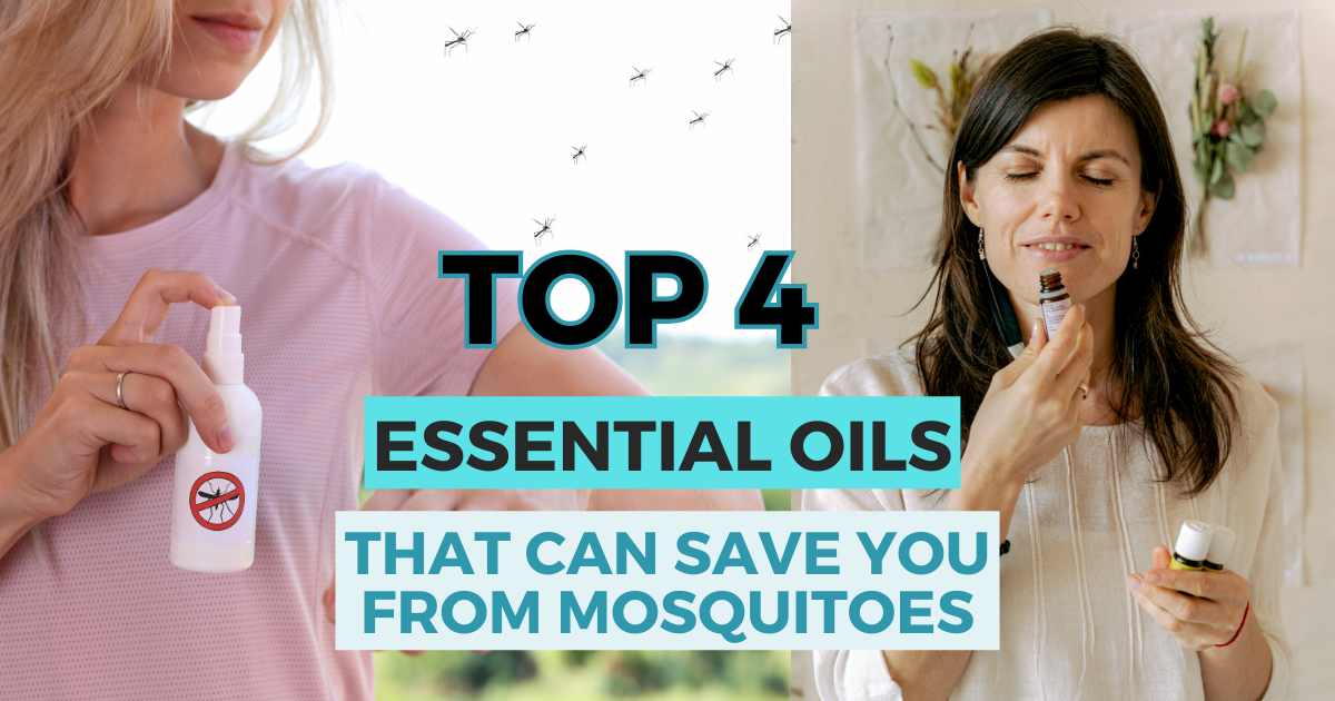 Which Essential Oils Repel Mosquitoes And How To Use Them